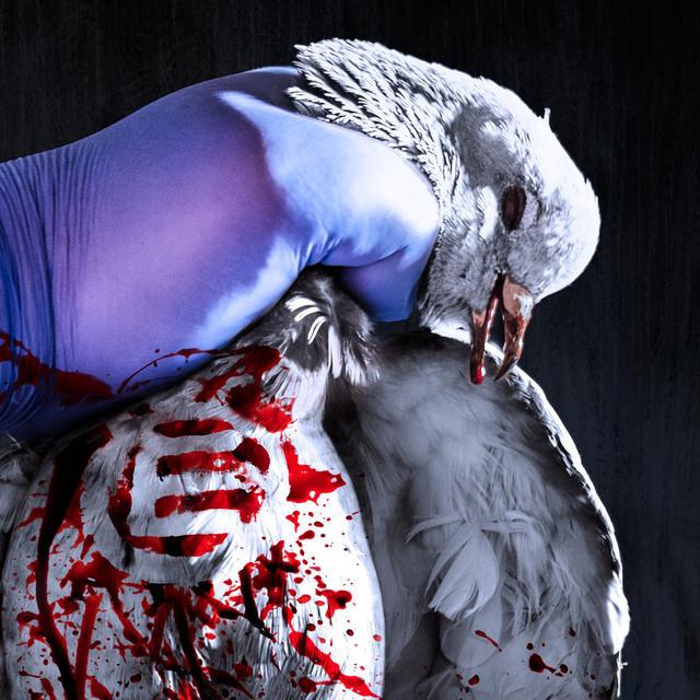 Napalm Death Calgary