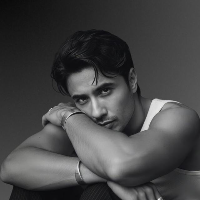 Ali Zafar Wolverhampton