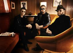 Bee Gees by Maincourse