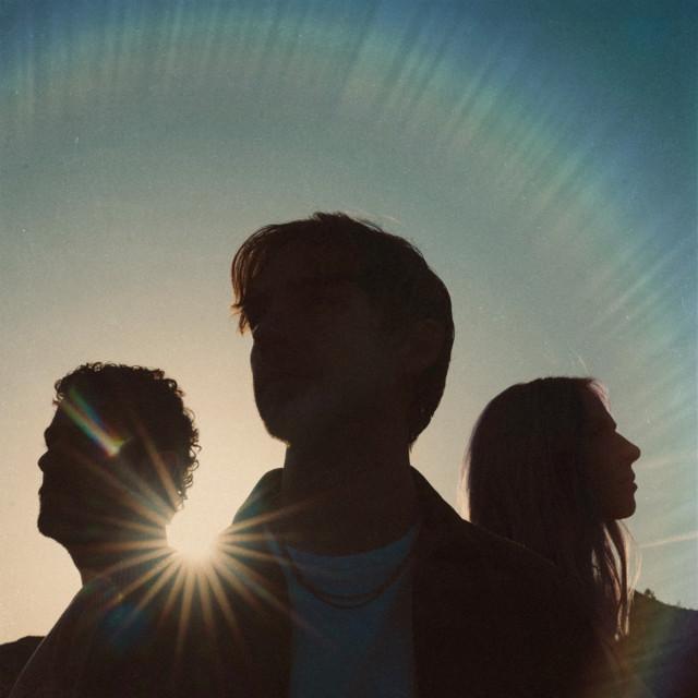 Wild About You London